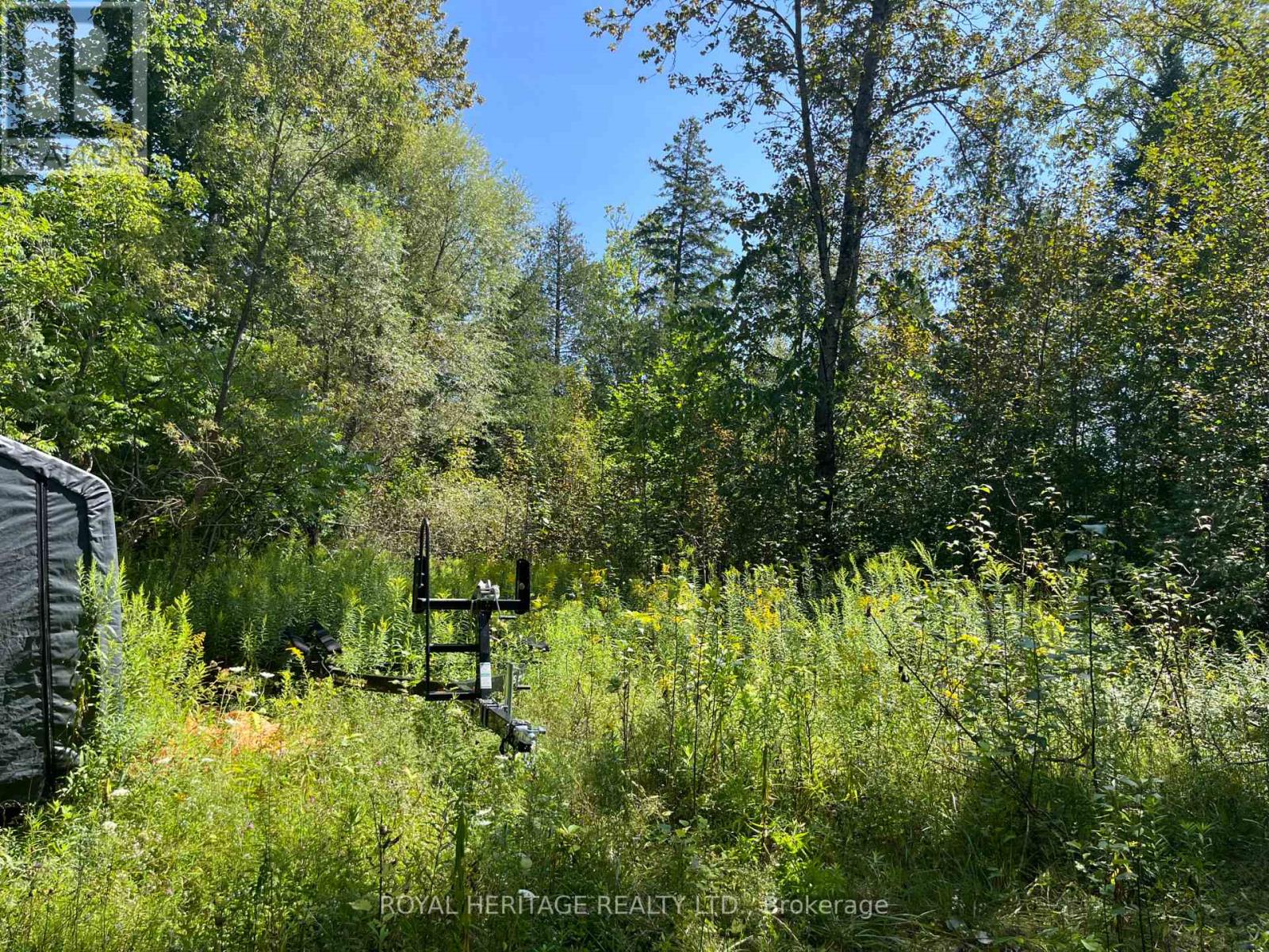 0 Sumcot Drive, Trent Lakes, Ontario  K0L 1J0 - Photo 5 - X13136638