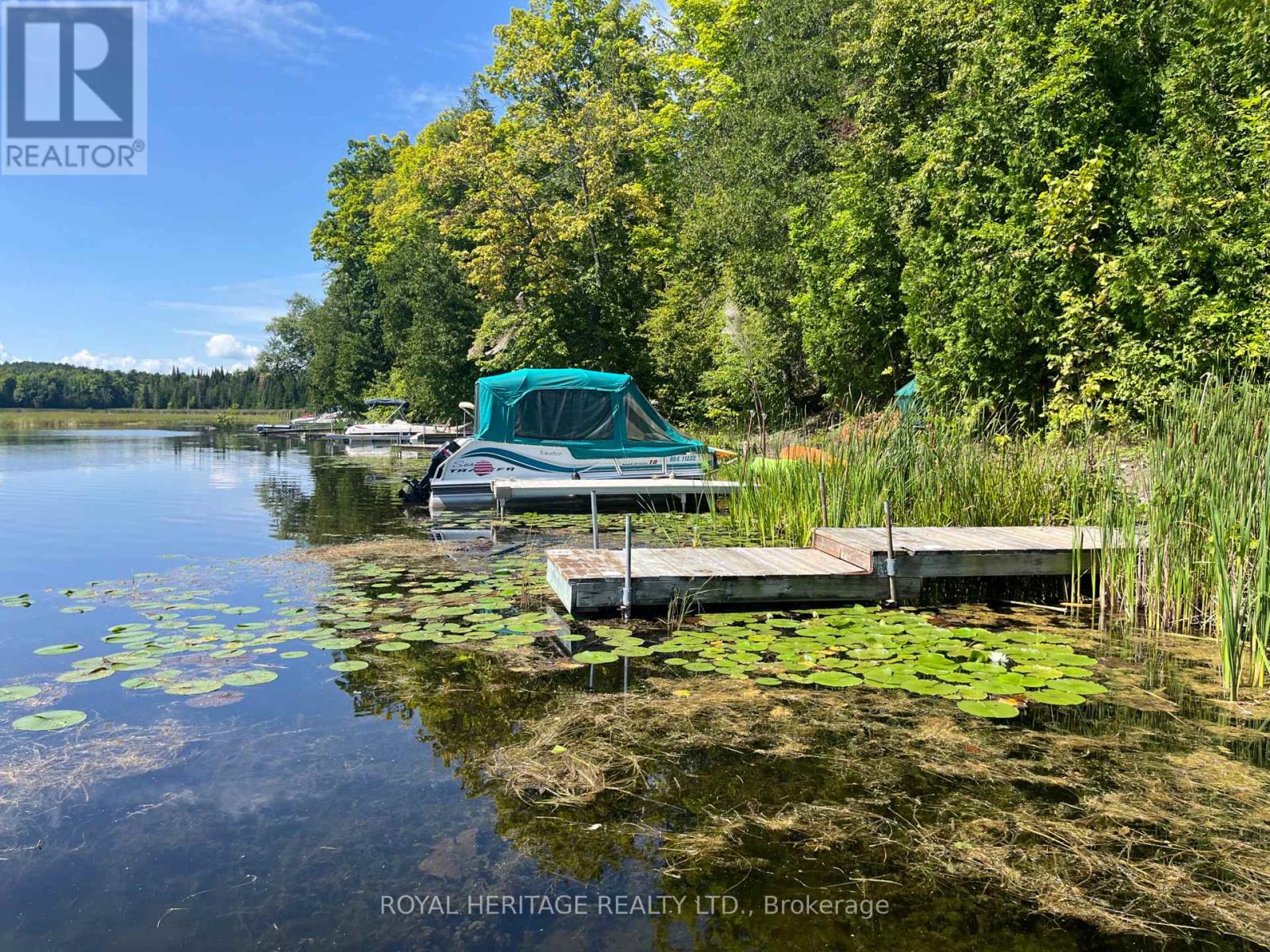 0 Sumcot Drive, Trent Lakes, Ontario  K0L 1J0 - Photo 8 - X13136638