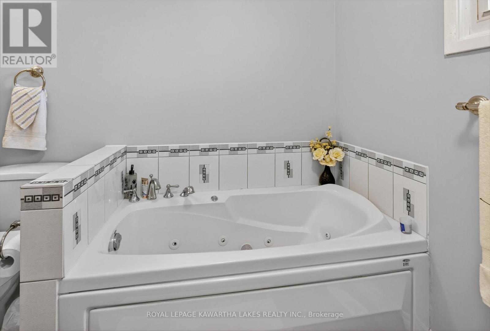 161 Angeline Street N, Kawartha Lakes (Lindsay), Ontario  K9V 4X3 - Photo 22 - X13137680