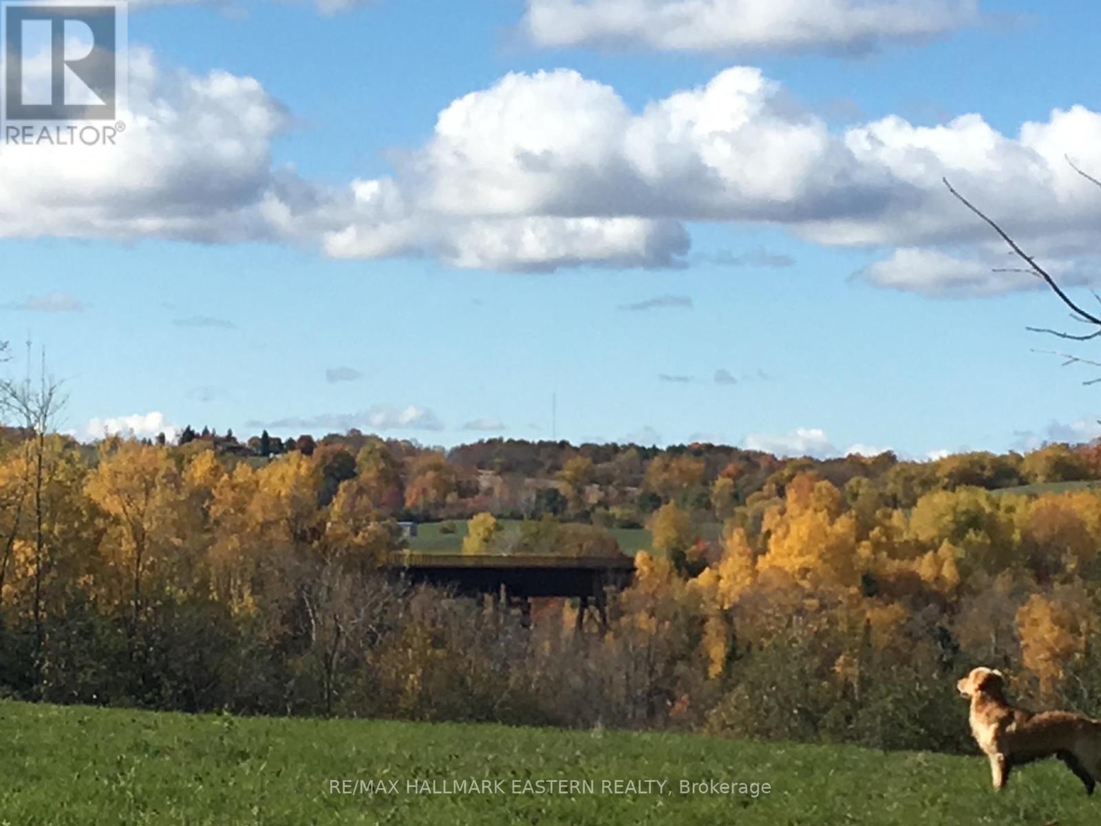 323 Orange Corners Road, Kawartha Lakes (Emily), Ontario  K0L 2W0 - Photo 11 - X13138336