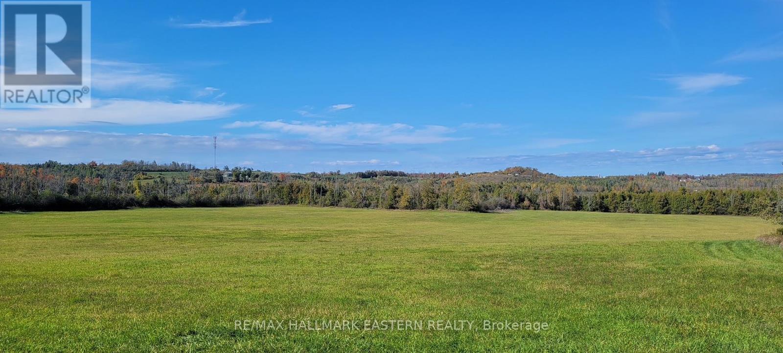 323 Orange Corners Road, Kawartha Lakes (Emily), Ontario  K0L 2W0 - Photo 7 - X13138336