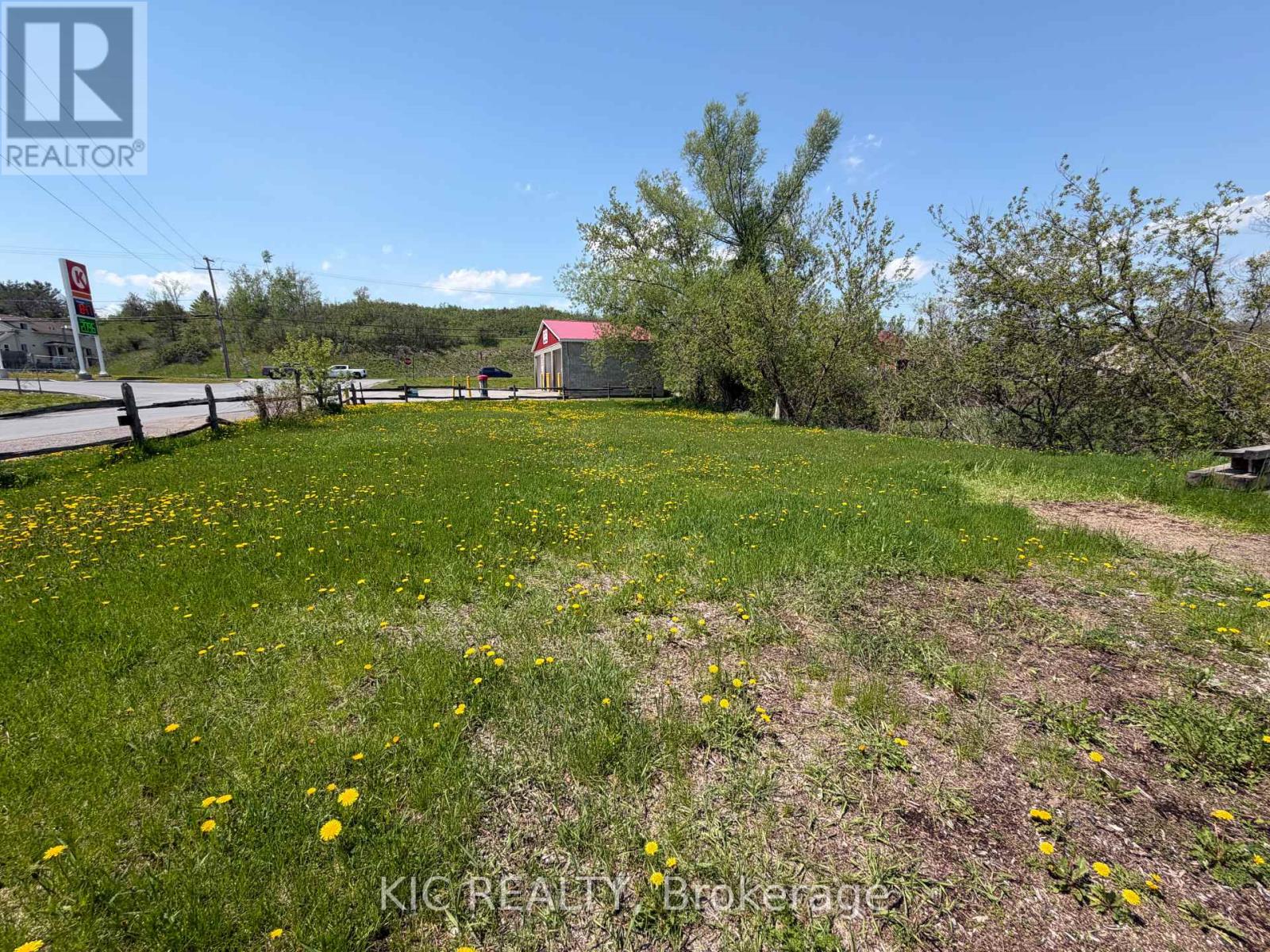 16 Cedar Street, Asphodel-Norwood (Norwood), Ontario  K0L 2V0 - Photo 3 - X13141042