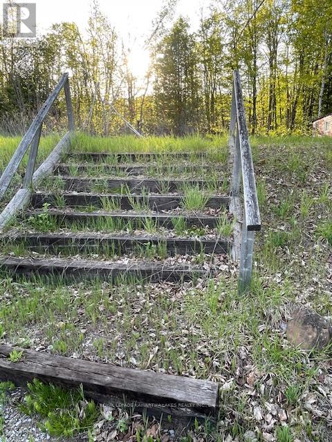8574 Highway 28 Highway, North Kawartha, Ontario  K0L 1A0 - Photo 13 - X13141556