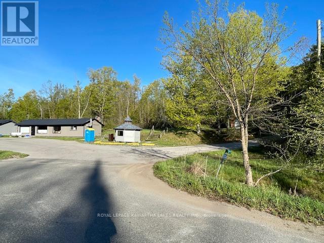 8574 Highway 28 Highway, North Kawartha, Ontario  K0L 1A0 - Photo 6 - X13141556