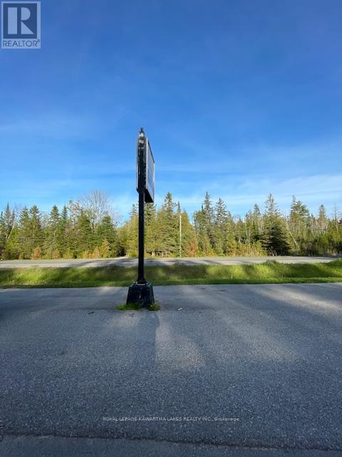 8574 Highway 28 Highway, North Kawartha, Ontario  K0L 1A0 - Photo 7 - X13141556