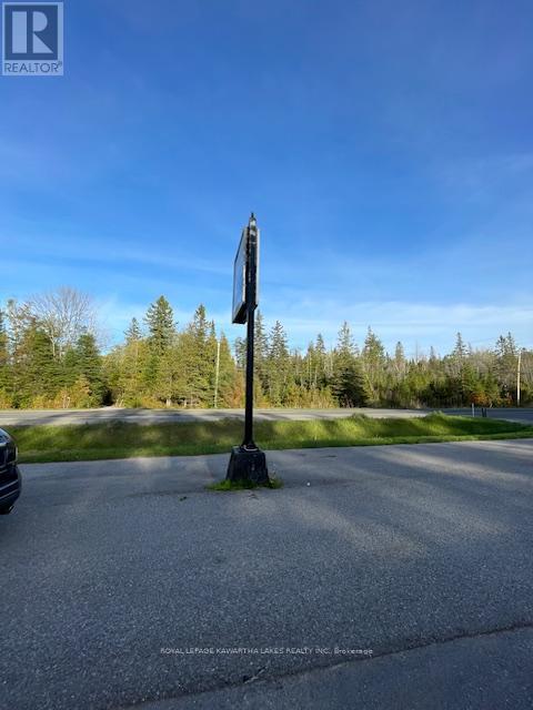 8574 Highway 28 Highway, North Kawartha, Ontario  K0L 1A0 - Photo 8 - X13141556