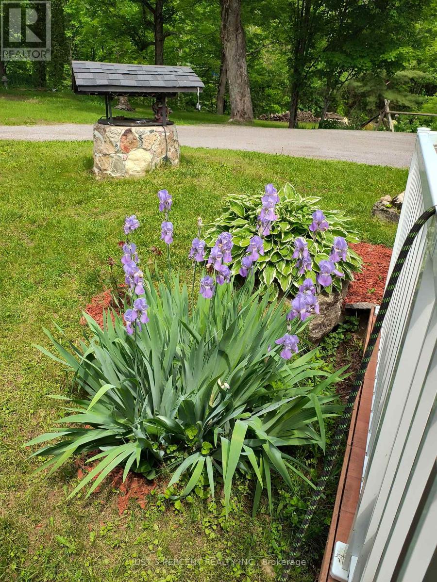 1492 County Rd 620 Road, North Kawartha, Ontario  K0L 1A0 - Photo 44 - X13143784