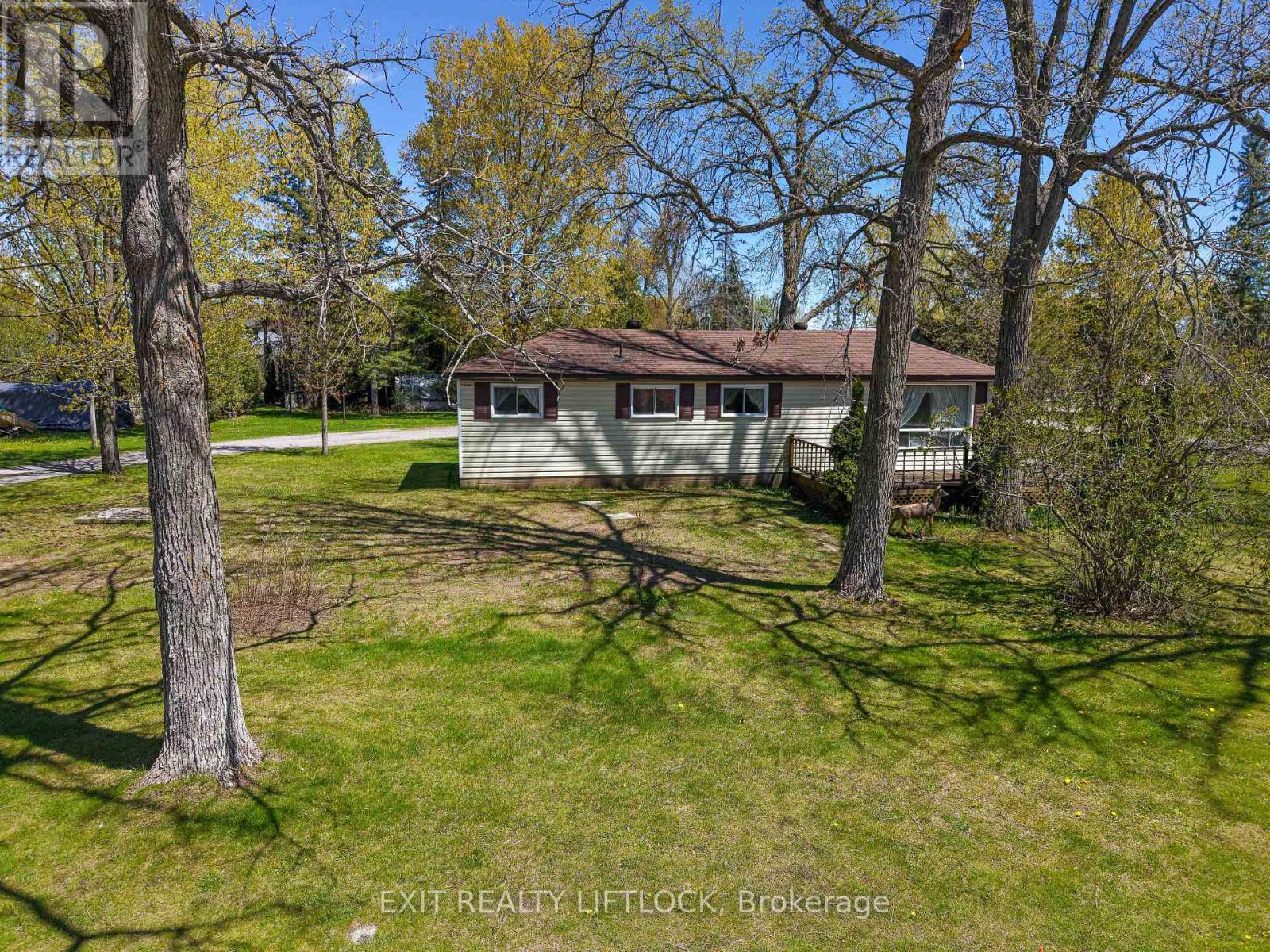 435 Percy Boom Road, Trent Hills, Ontario  K0L 1L0 - Photo 4 - X13146464