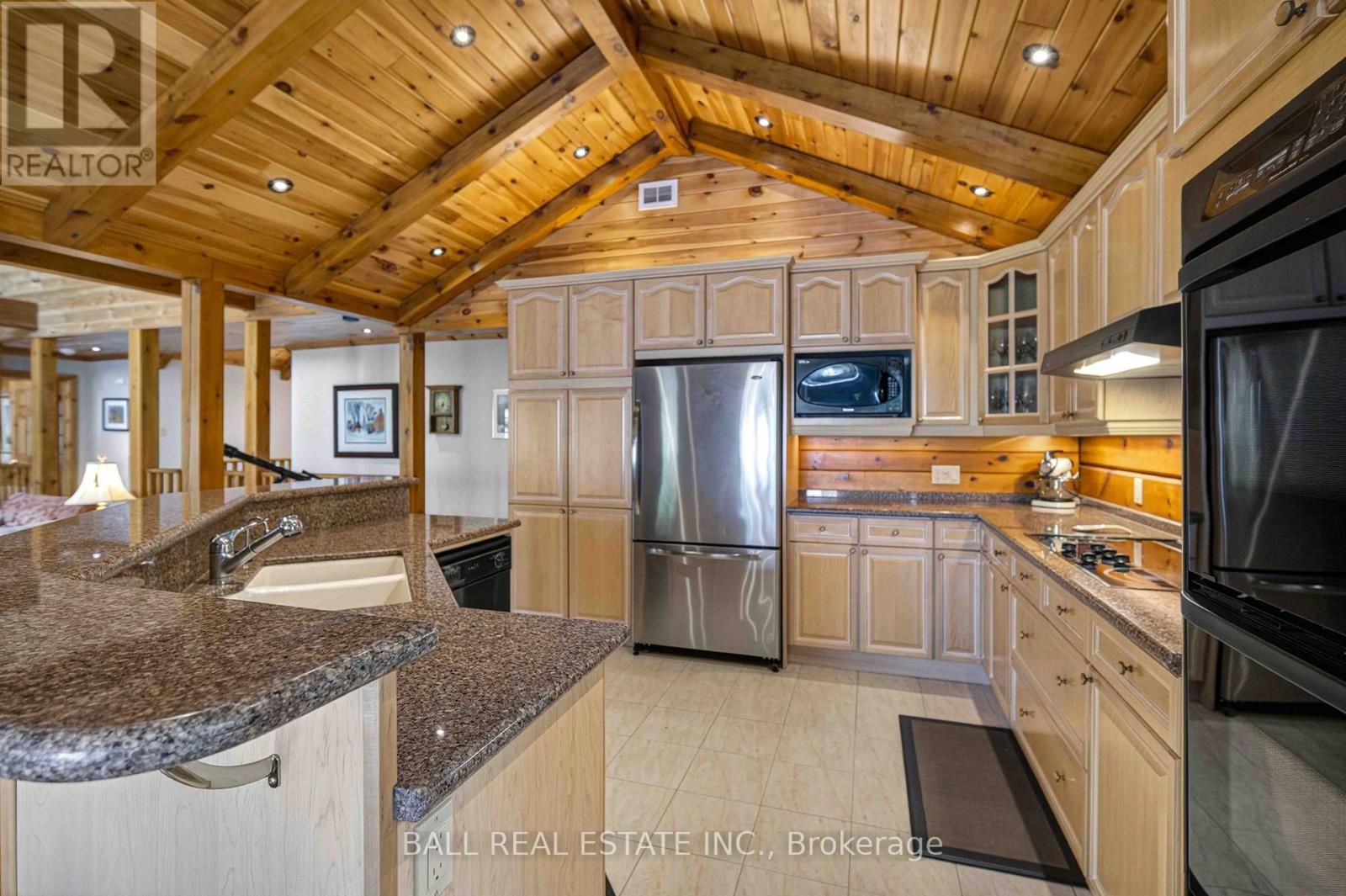 61 Ted's Lane, Trent Lakes, Ontario  K0L 1J0 - Photo 19 - X13148246