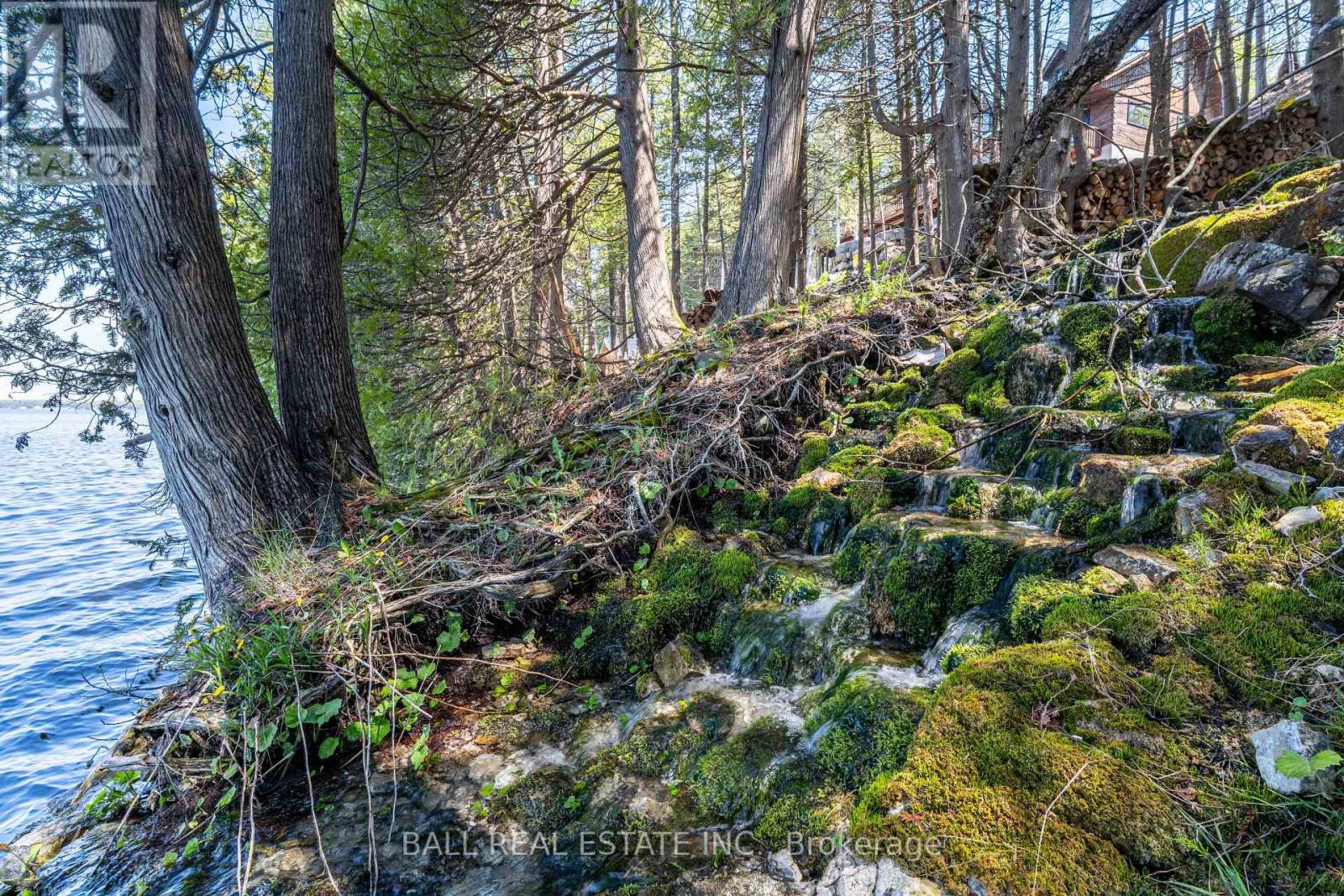 61 Ted's Lane, Trent Lakes, Ontario  K0L 1J0 - Photo 44 - X13148246