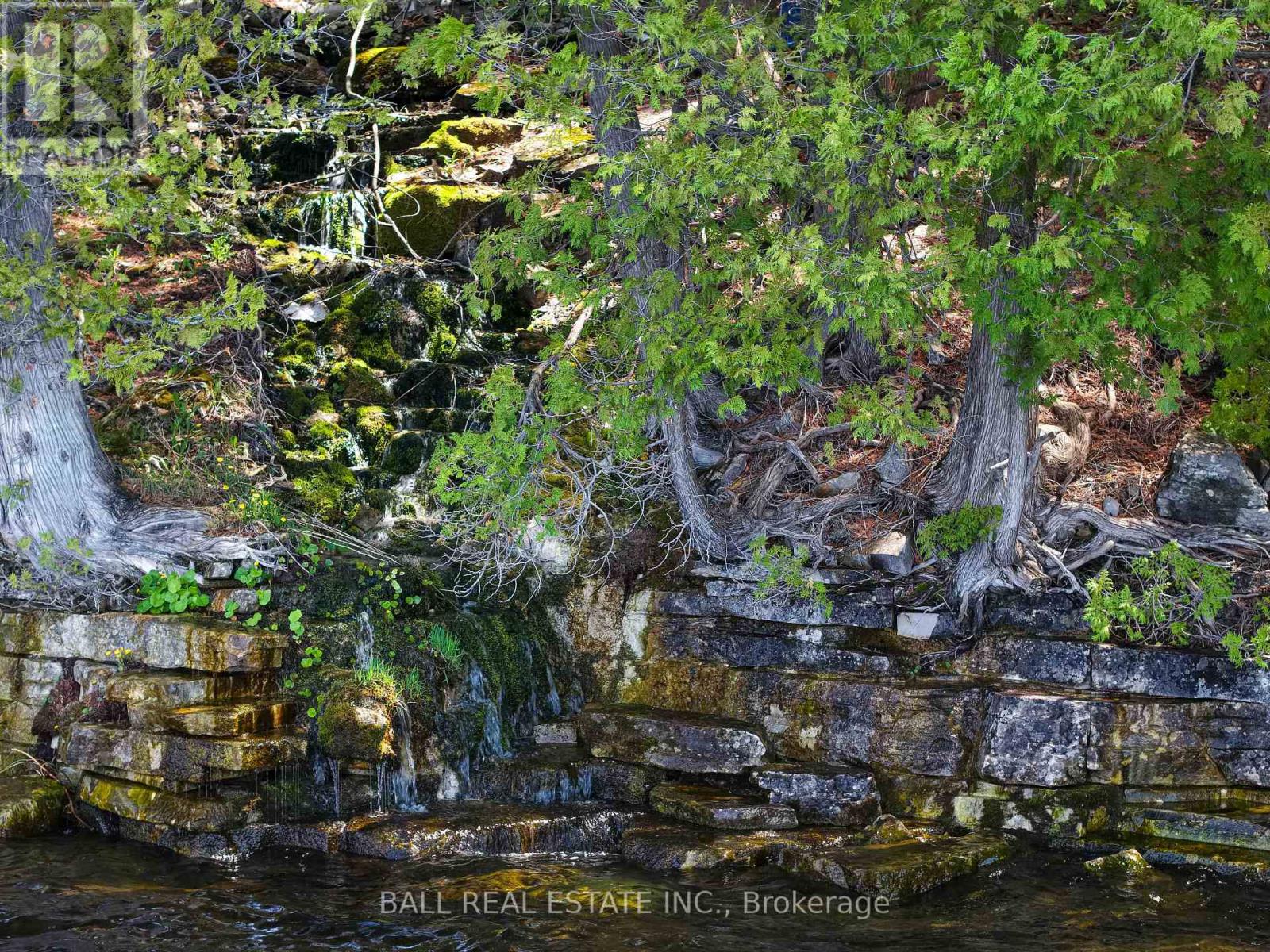 61 Ted's Lane, Trent Lakes, Ontario  K0L 1J0 - Photo 45 - X13148246