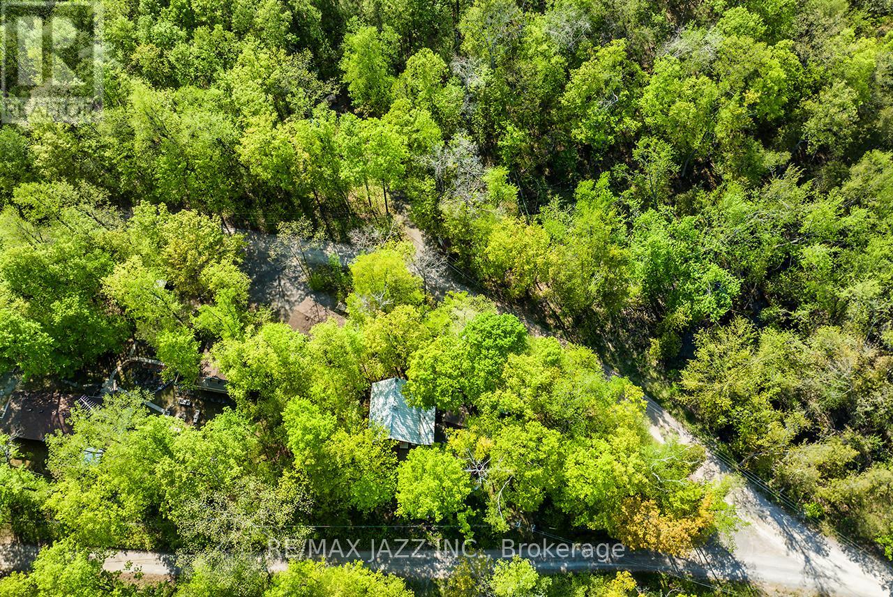 311 Fire Rte 59 Route, Havelock-Belmont-Methuen (Belmont-Methuen), Ontario  K0L 1Z0 - Photo 11 - X13148402
