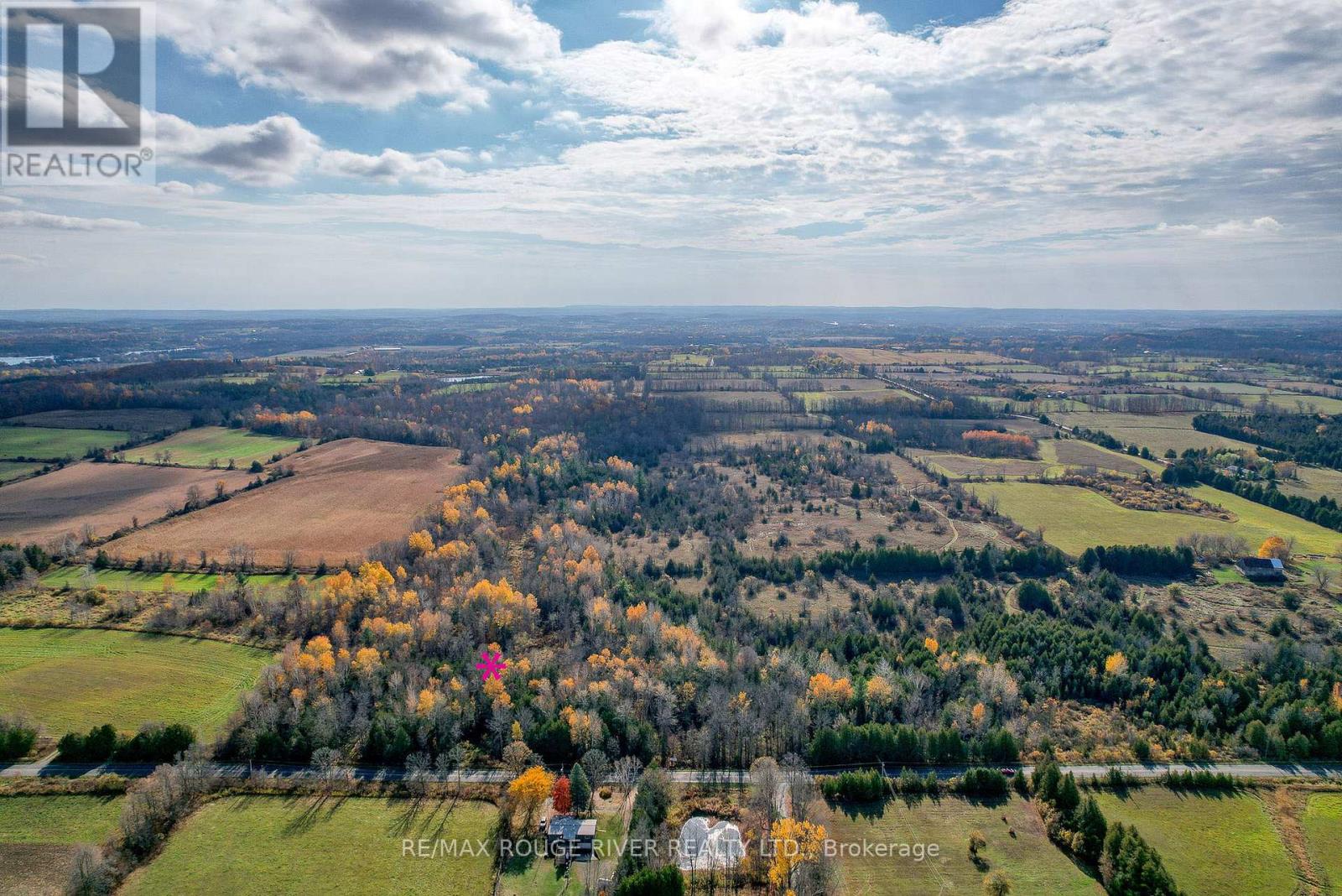 00 11th Line West, Trent Hills, Ontario  K0L 1L0 - Photo 4 - X13148564