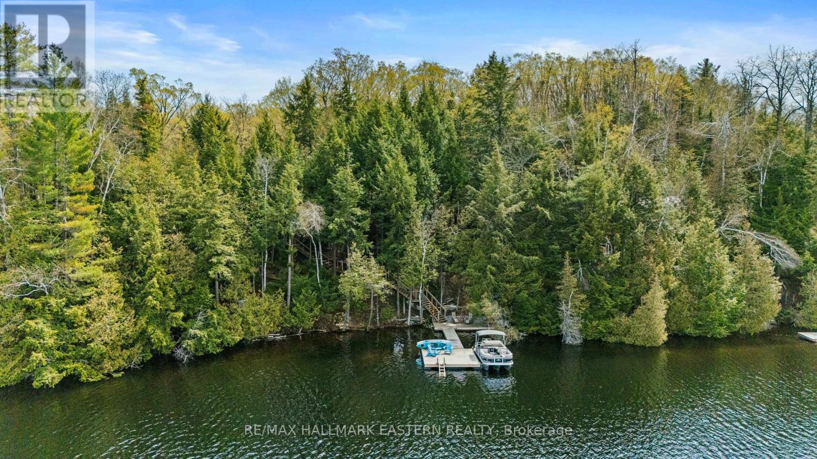 50 Fire Route 328a, Trent Lakes, Ontario  K0L 1J0 - Photo 3 - X13148676