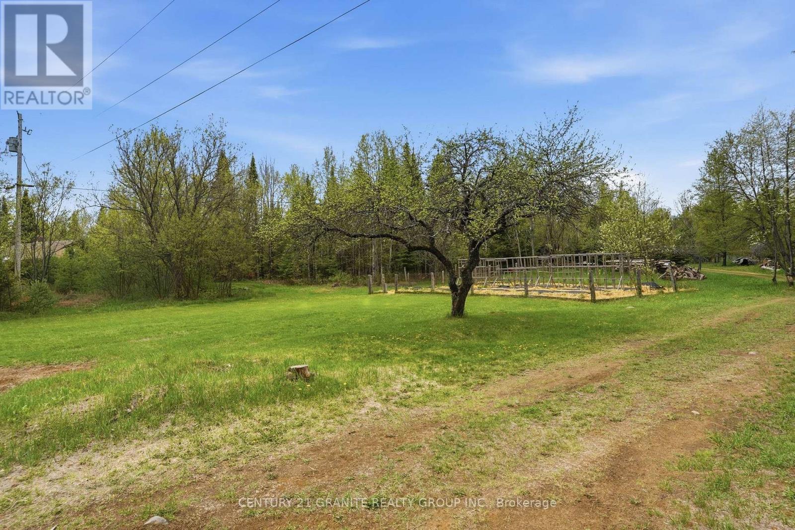 439 Rose Island Road, Wollaston, Ontario  K0L 1P0 - Photo 42 - X13150576