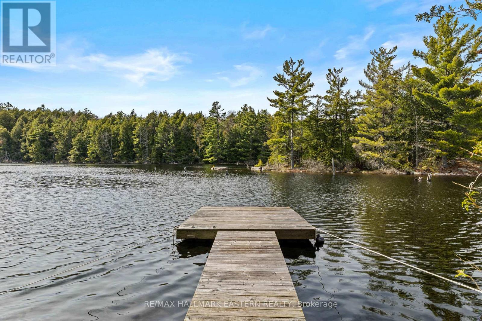 44 Fire Route 196a, Trent Lakes, Ontario  K0L 1J0 - Photo 37 - X13150740