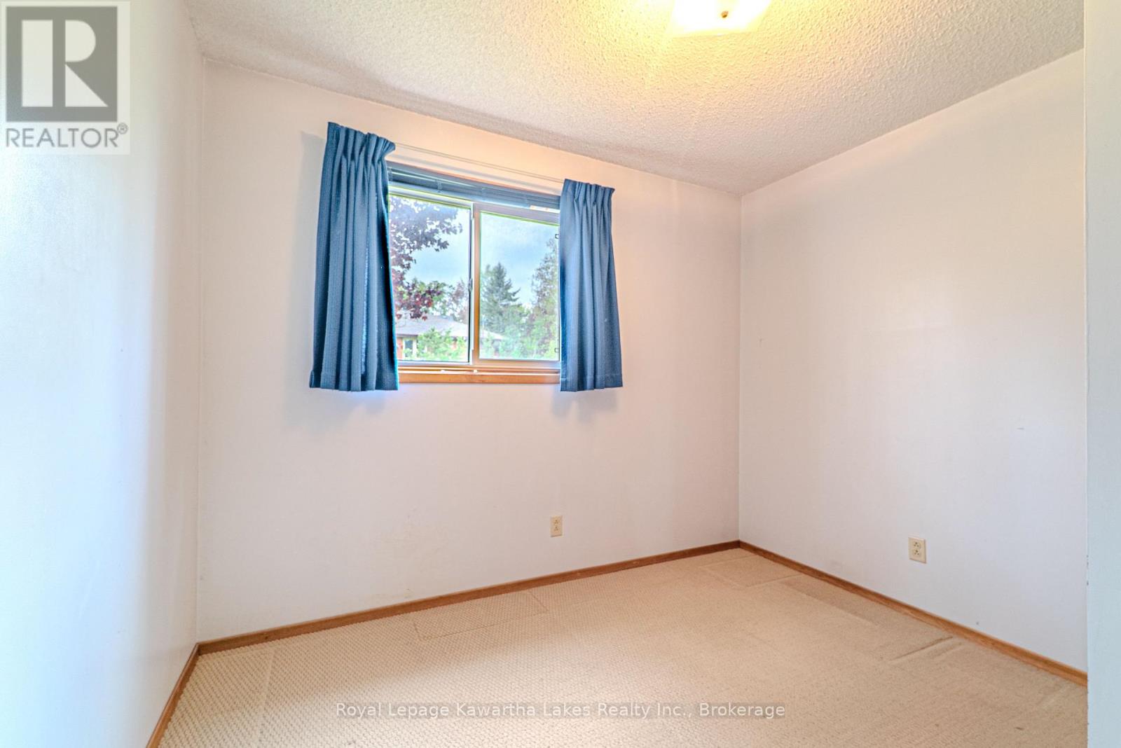 199 Mary Street W, Kawartha Lakes (Lindsay), Ontario  K9V 5N2 - Photo 19 - X13151252