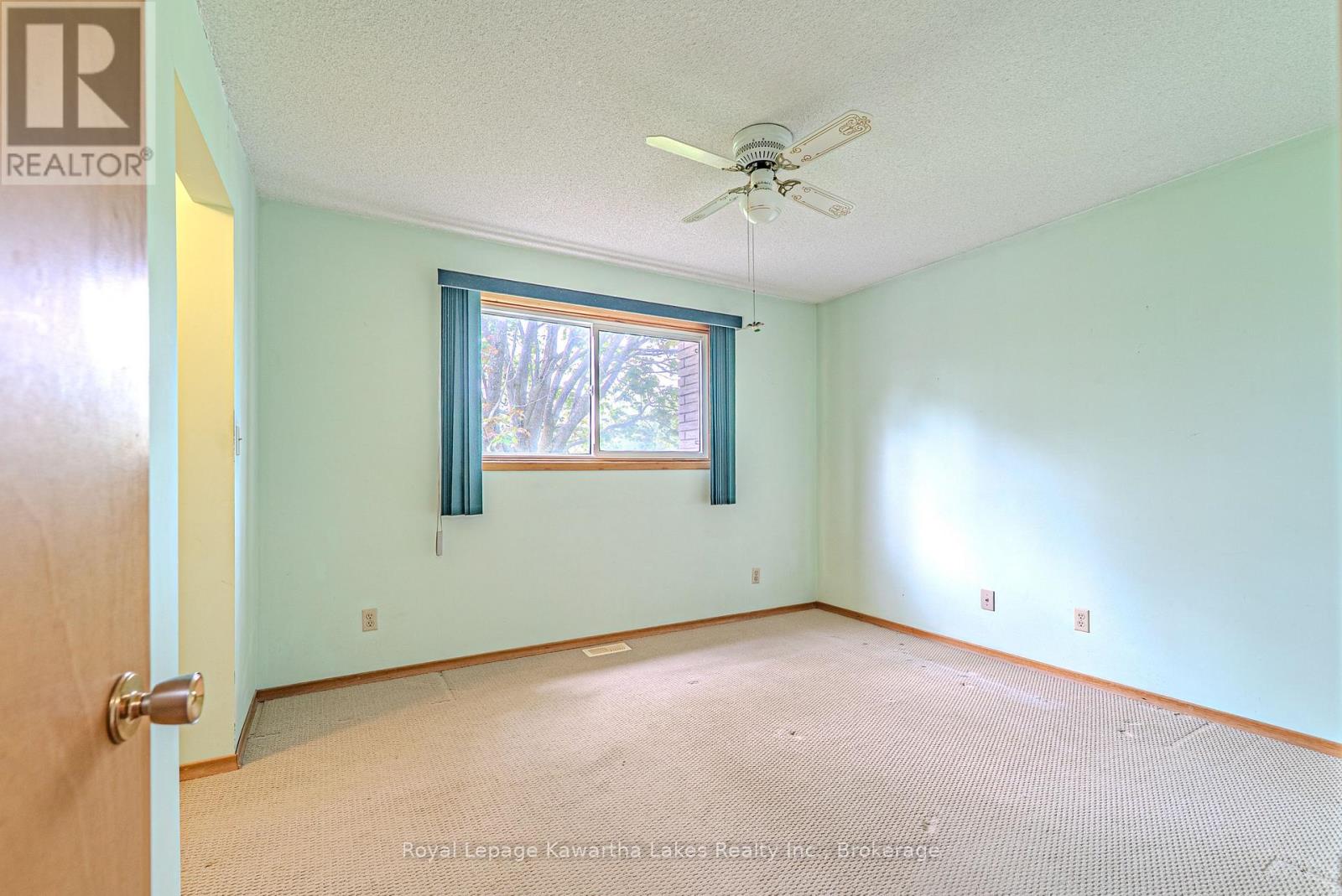 199 Mary Street W, Kawartha Lakes (Lindsay), Ontario  K9V 5N2 - Photo 20 - X13151252