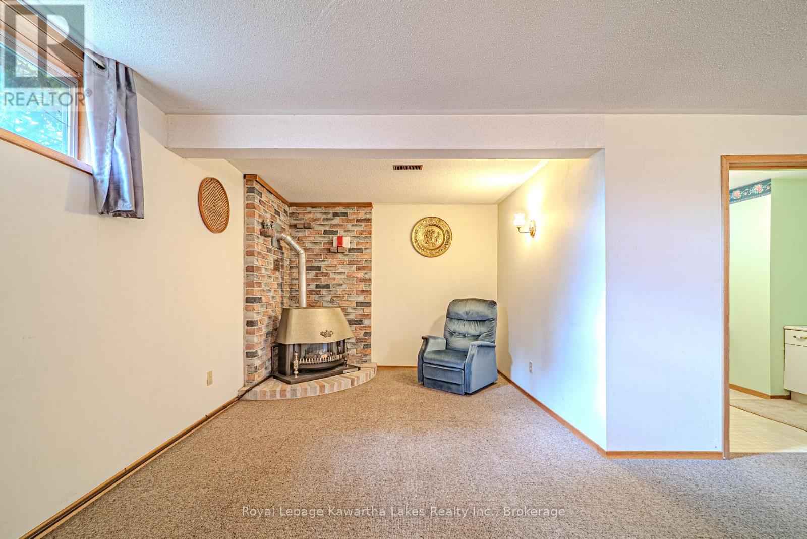 199 Mary Street W, Kawartha Lakes (Lindsay), Ontario  K9V 5N2 - Photo 29 - X13151252