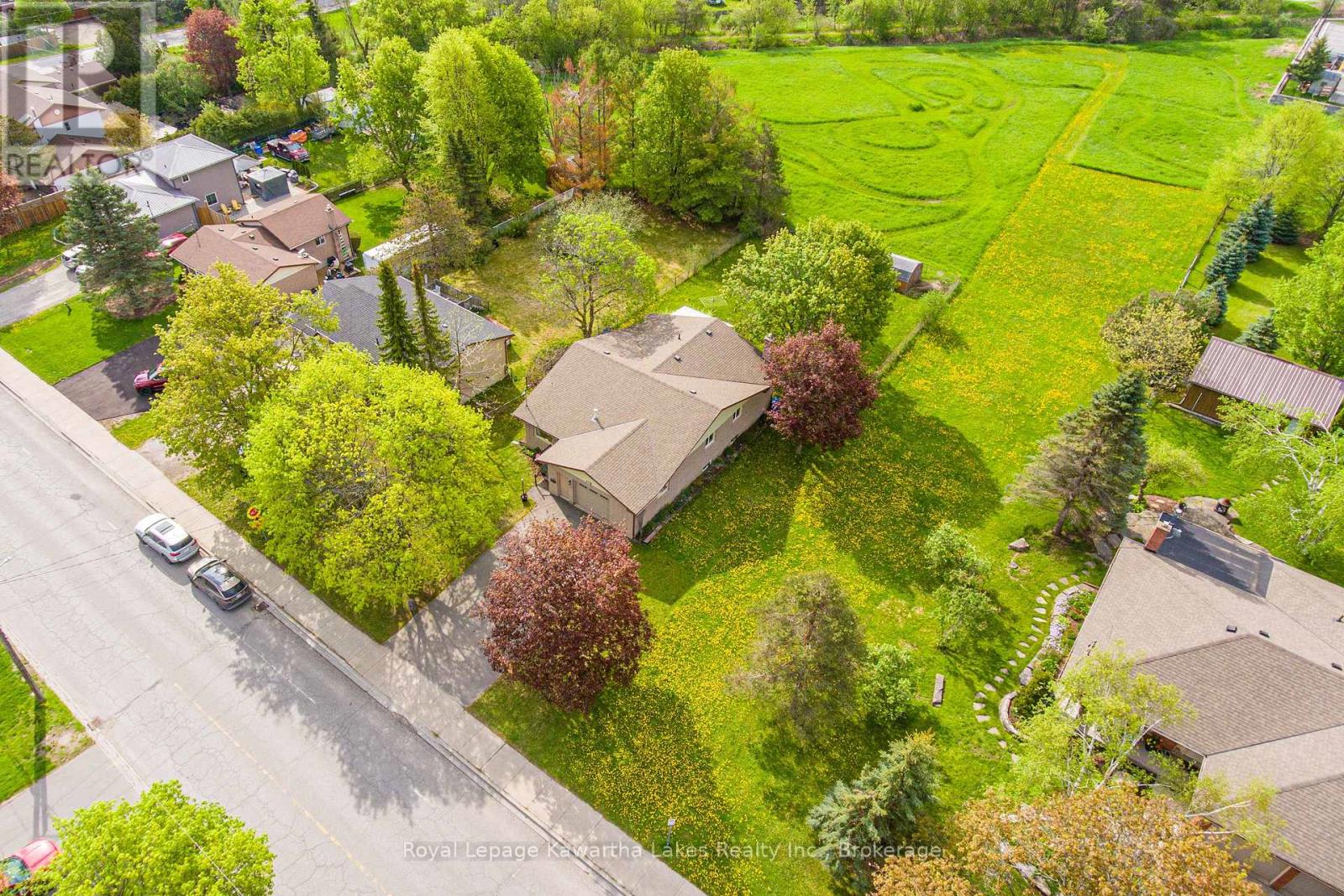199 Mary Street W, Kawartha Lakes (Lindsay), Ontario  K9V 5N2 - Photo 5 - X13151252