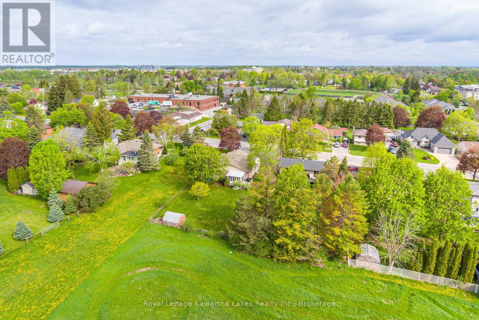 199 Mary Street W, Kawartha Lakes (Lindsay), Ontario  K9V 5N2 - Photo 7 - X13151252