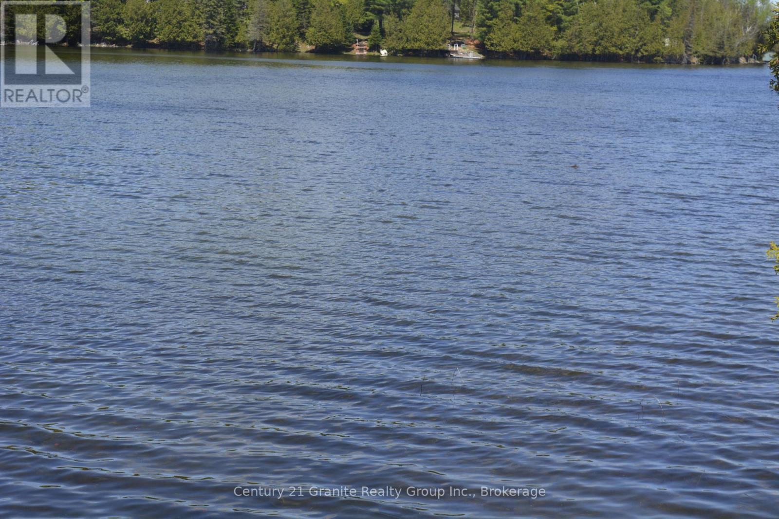 200 Gunter Lk Road, Tudor And Cashel (Cashel Ward), Ontario  K0L 1W0 - Photo 36 - X13151444