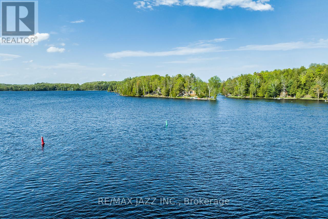 65 Fire Route 54c, Havelock-Belmont-Methuen (Belmont-Methuen), Ontario  K0L 1Z0 - Photo 8 - X13151814