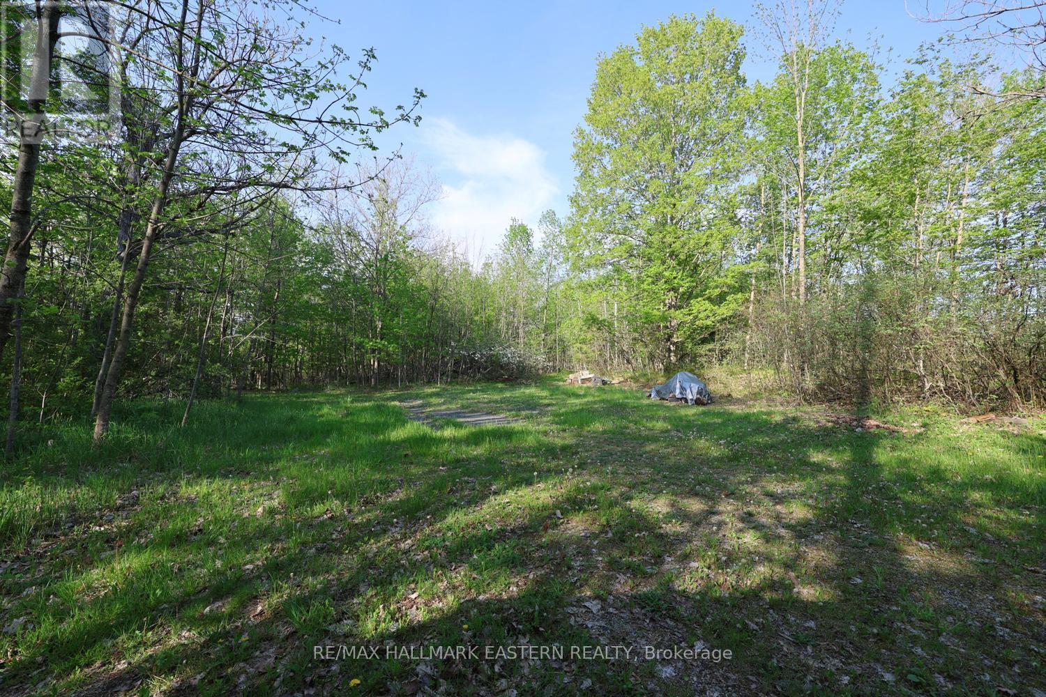 348 Round Lake Road, Havelock-Belmont-Methuen (Belmont-Methuen), Ontario  K0L 1Z0 - Photo 31 - X13152038