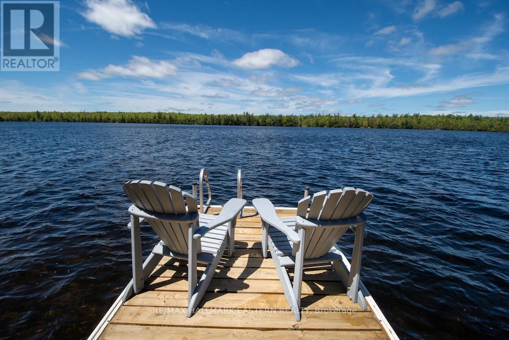33 Pineway Court, Trent Lakes, Ontario  K0L 1J0 - Photo 36 - X13156826