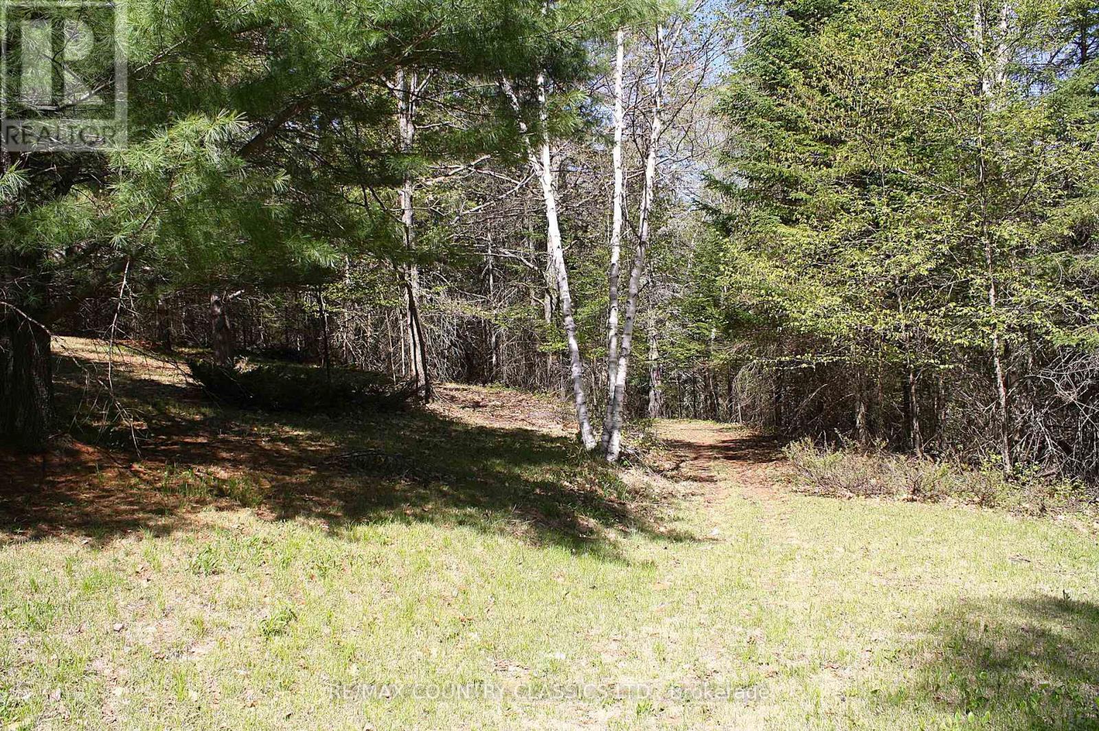 Unknown Address, ,     - Photo 10 - X13156988