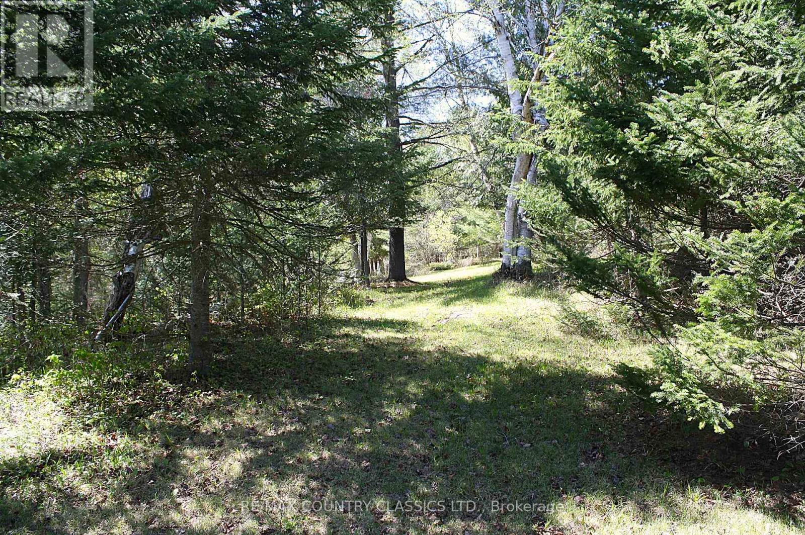Unknown Address, ,     - Photo 11 - X13156988