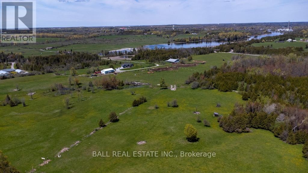 4131 County Rd 32, Douro-Dummer, Ontario  K0L 2H0 - Photo 41 - X13157002