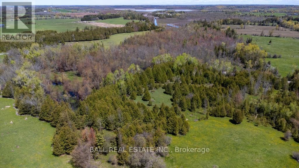 4131 County Rd 32, Douro-Dummer, Ontario  K0L 2H0 - Photo 42 - X13157002