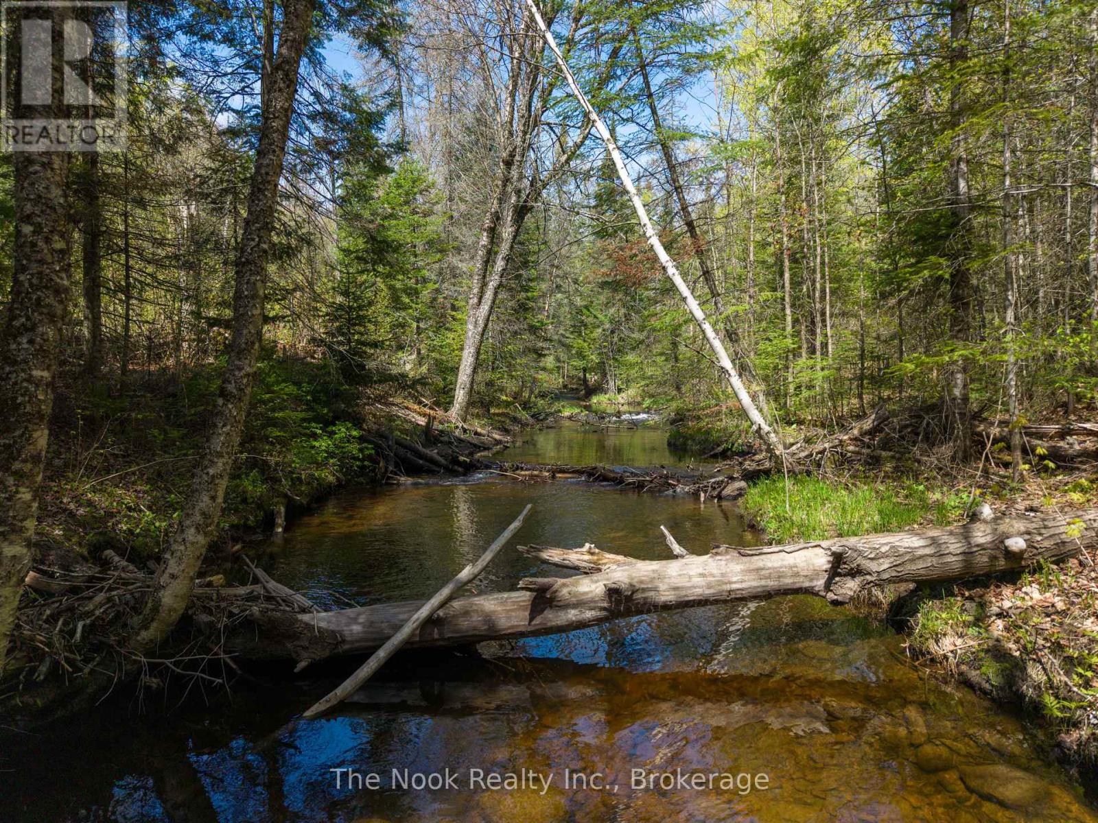0 Highway 62 N Highway, Hastings Highlands (Herschel Ward), Ontario  K0L 1C0 - Photo 11 - X13159782