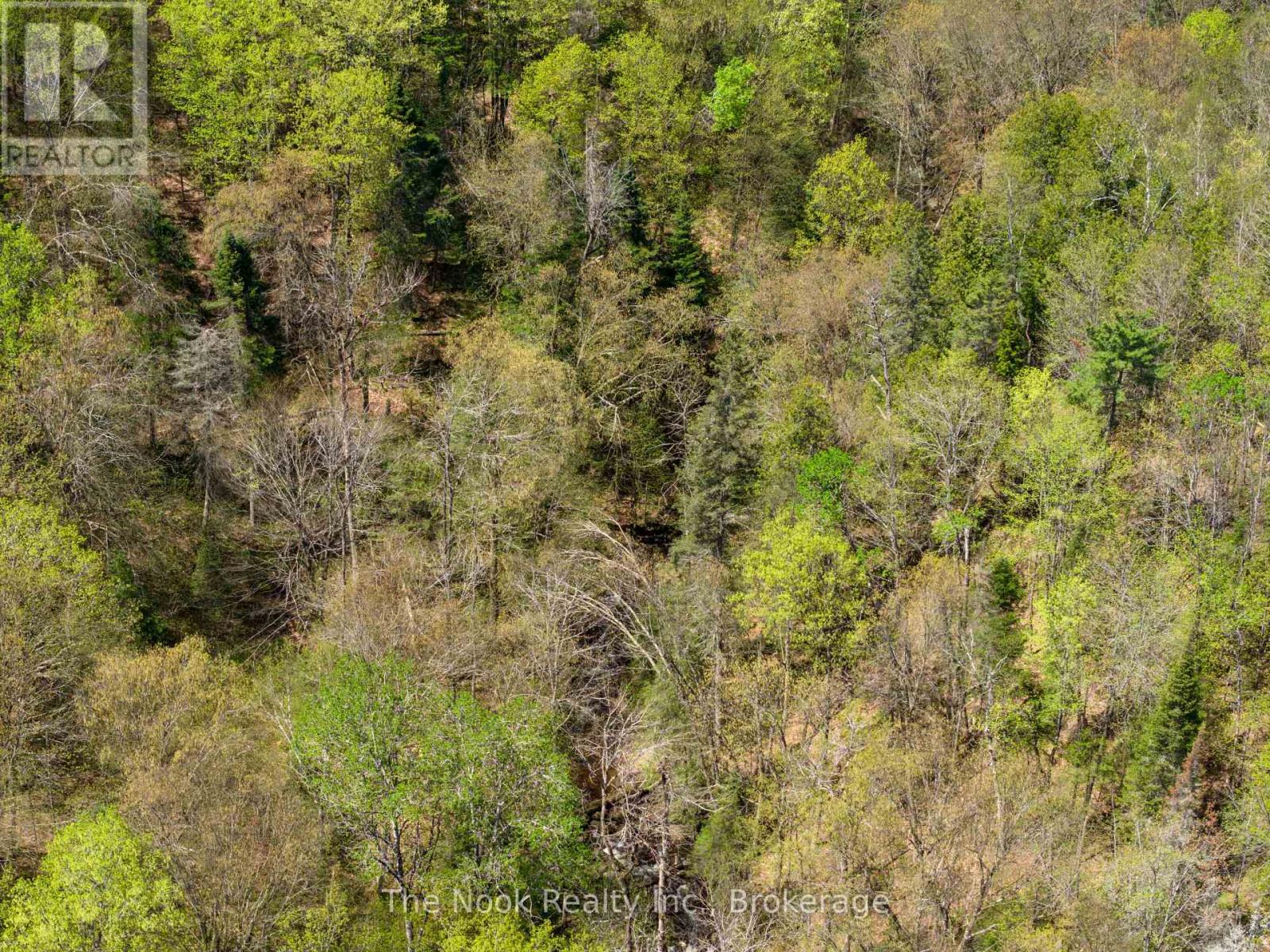 0 Highway 62 N Highway, Hastings Highlands (Herschel Ward), Ontario  K0L 1C0 - Photo 8 - X13159782