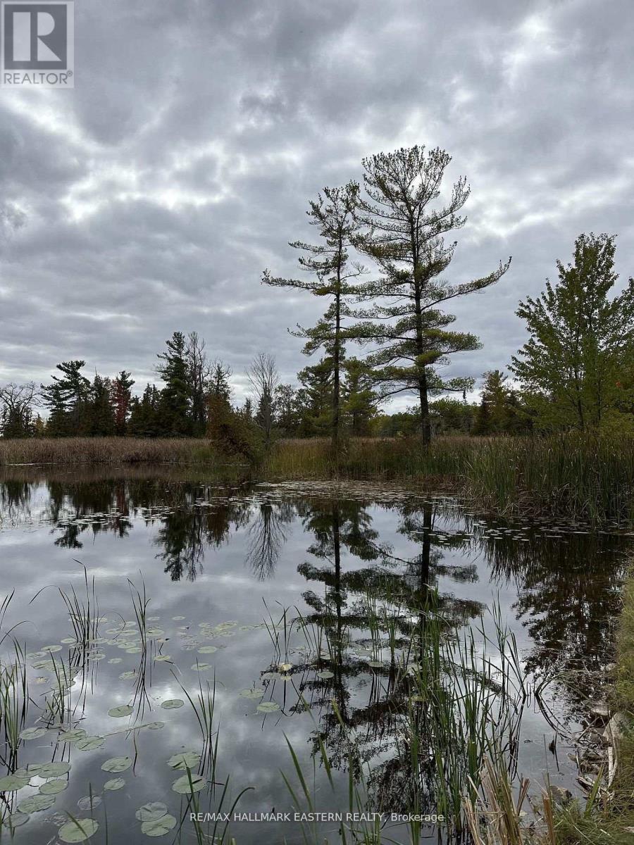 Lot 23-20-6 - 40 Arrow Bay Road, Curve Lake First Nation 35 (Curve Lake First Nation), Ontario  K9L 9R0 - Photo 7 - X13161190