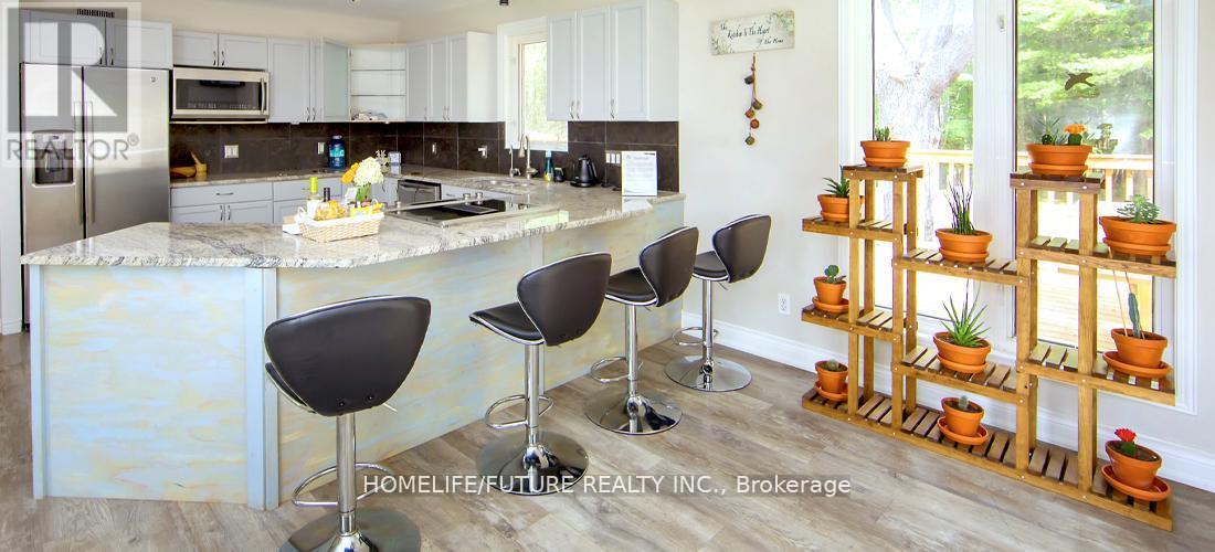 1559 North Belmont Concession, Havelock-Belmont-Methuen (Belmont-Methuen), Ontario  K0L 1Z0 - Photo 11 - X13161732