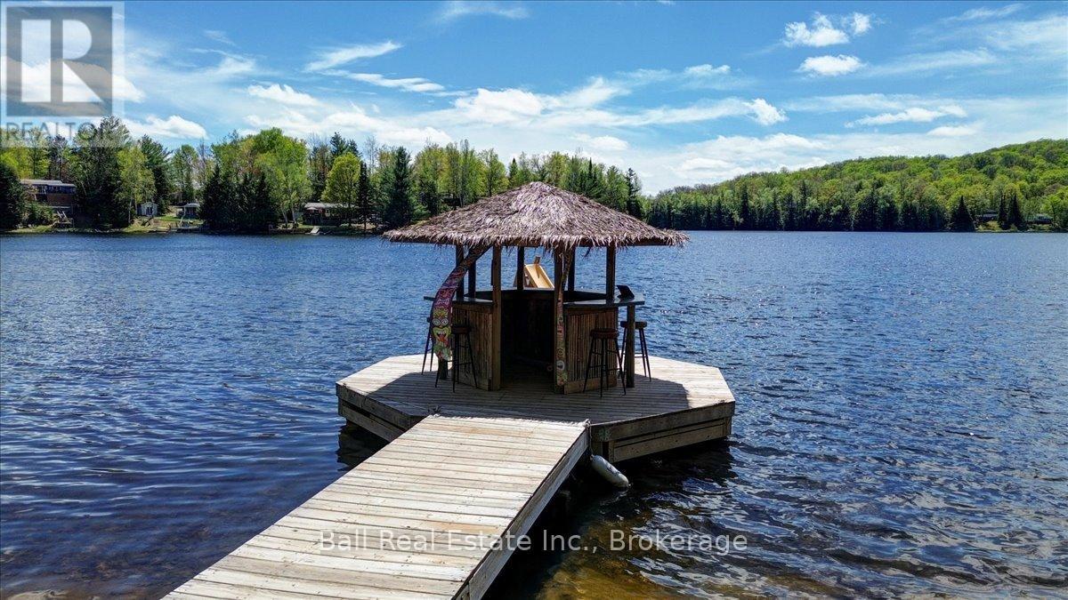 201 Siddon Lake Place, Bancroft (Bancroft Ward), Ontario  K0L 1C0 - Photo 7 - X13163068