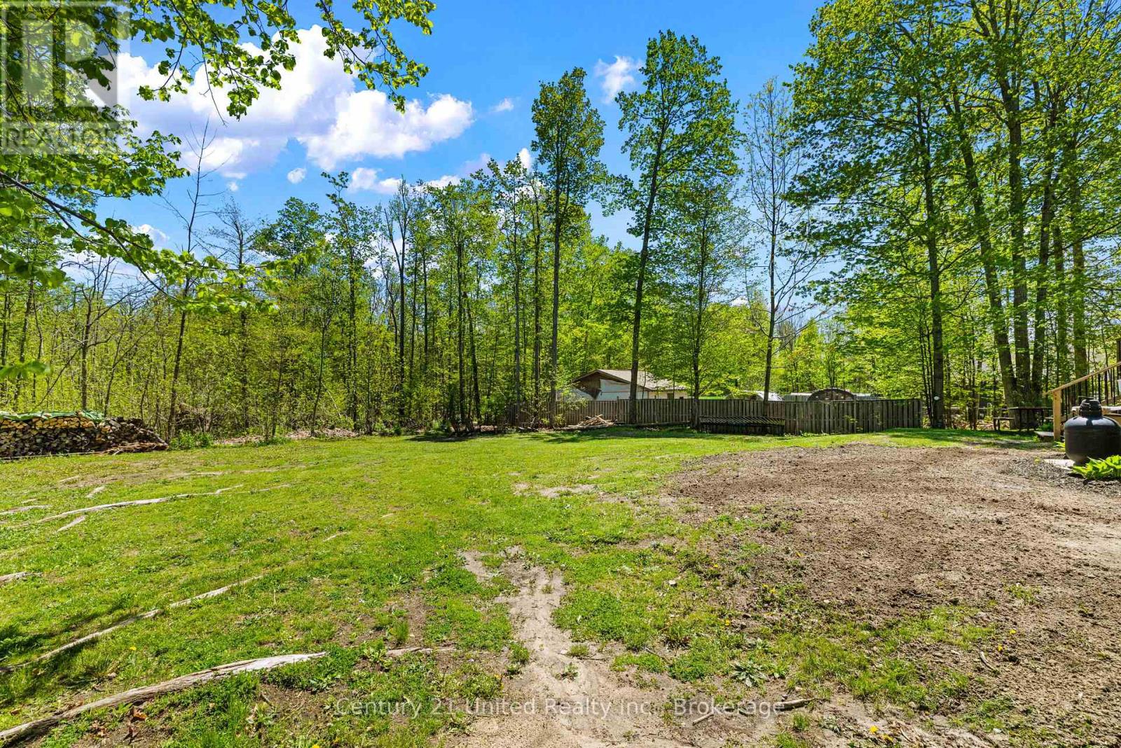 1587 Camp Line, Douro-Dummer, Ontario  K0L 3A0 - Photo 19 - X13163878