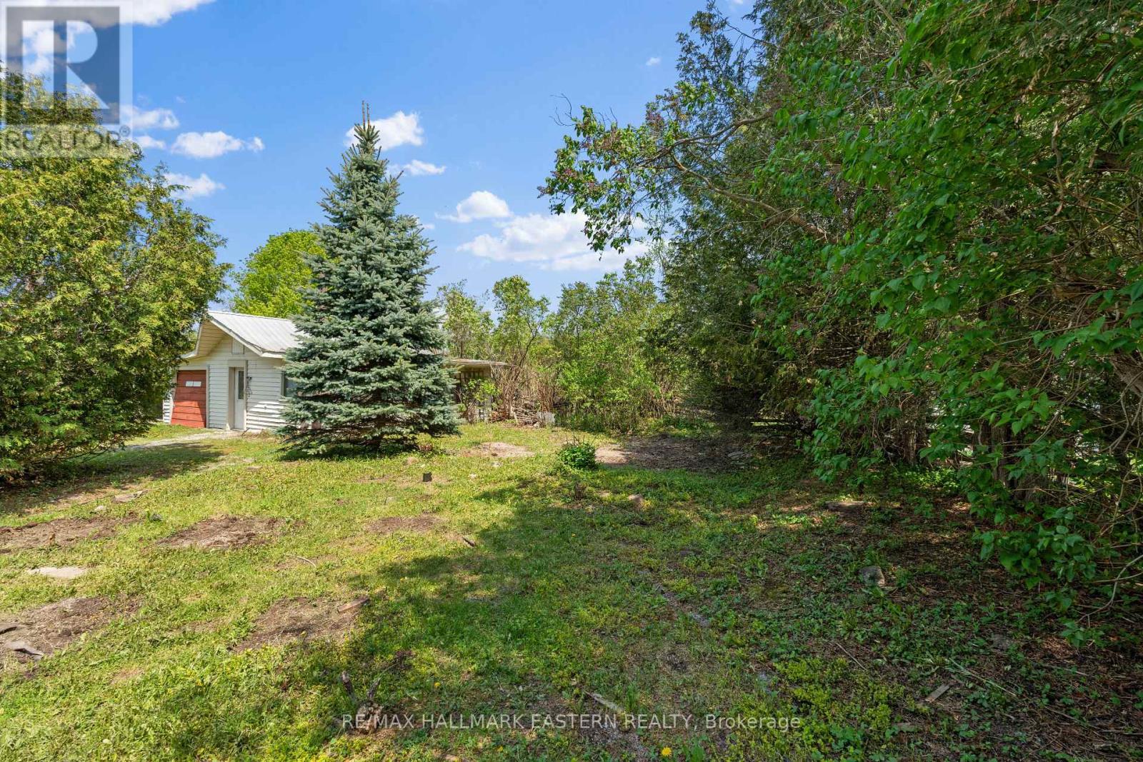 2215 David Fife Line, Otonabee-South Monaghan, Ontario  K0L 1B0 - Photo 47 - X13164004