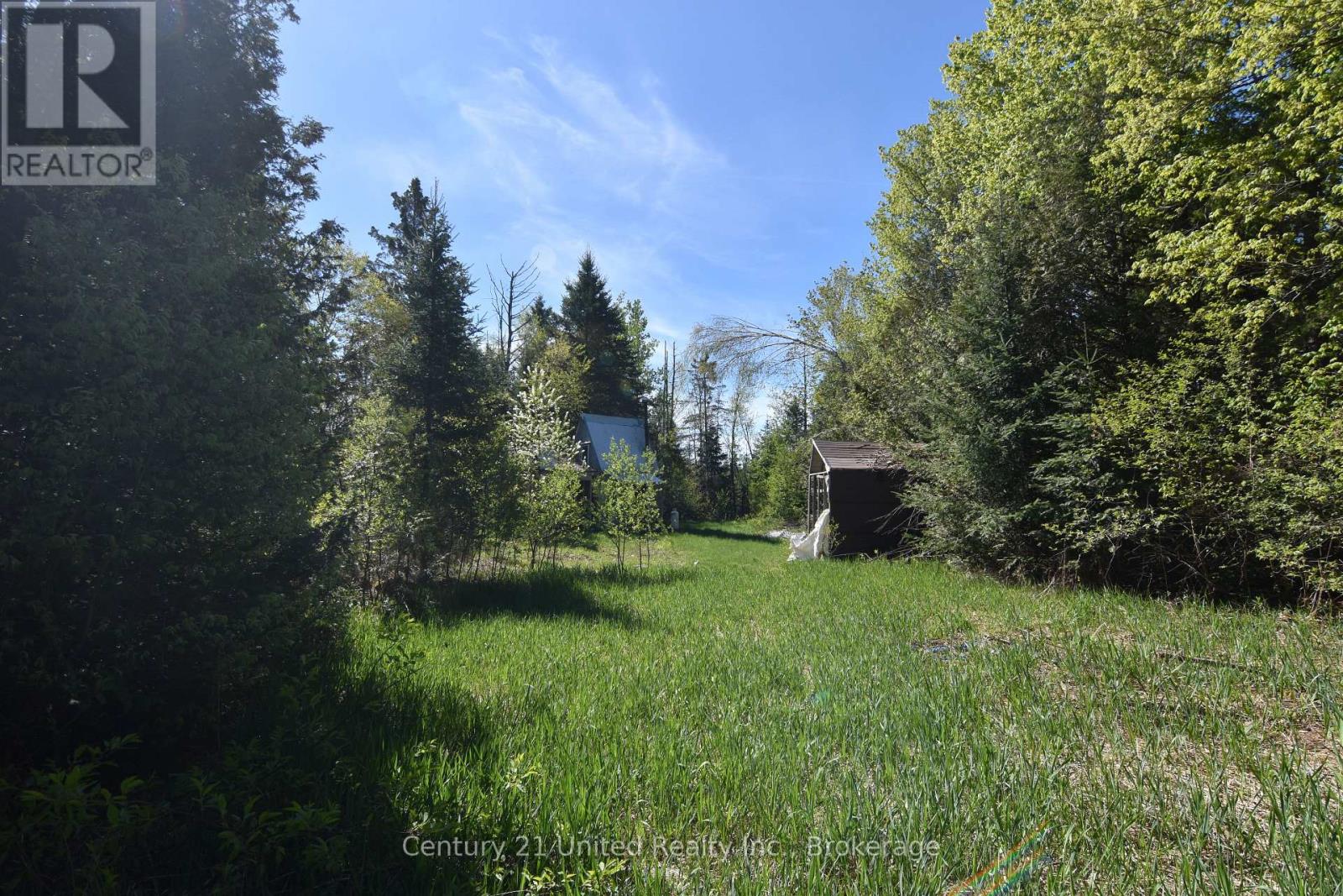 2682 N Steenburg Lake Road, Wollaston, Ontario  K0L 1P0 - Photo 6 - X13164430