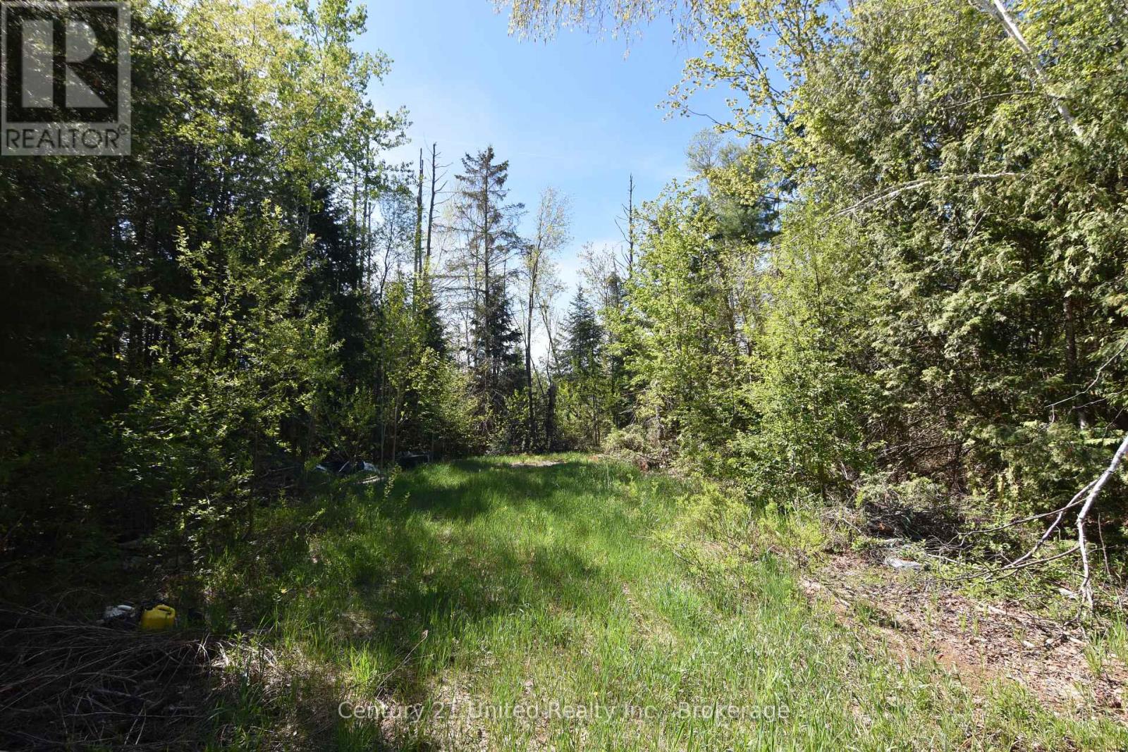 2682 N Steenburg Lake Road, Wollaston, Ontario  K0L 1P0 - Photo 7 - X13164430