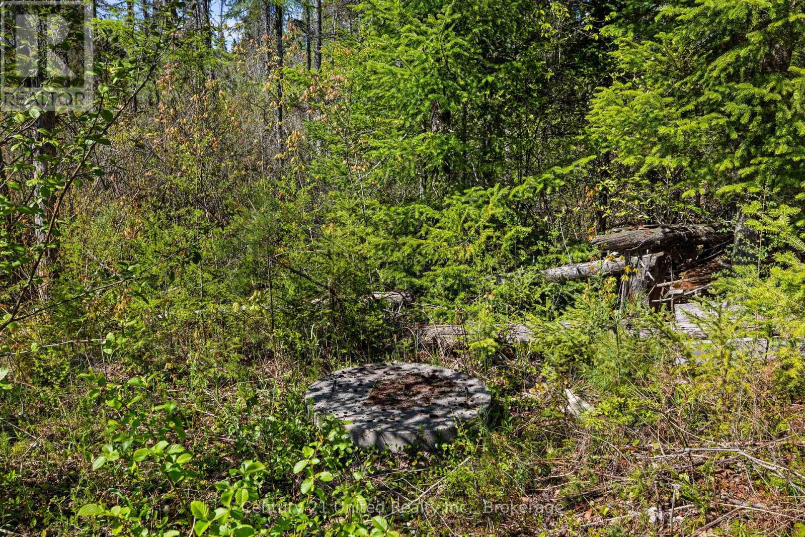573 Jack Lake Road, North Kawartha, Ontario  K0L 1A0 - Photo 10 - X13169158