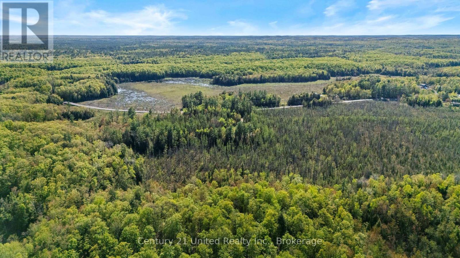573 Jack Lake Road, North Kawartha, Ontario  K0L 1A0 - Photo 13 - X13169158