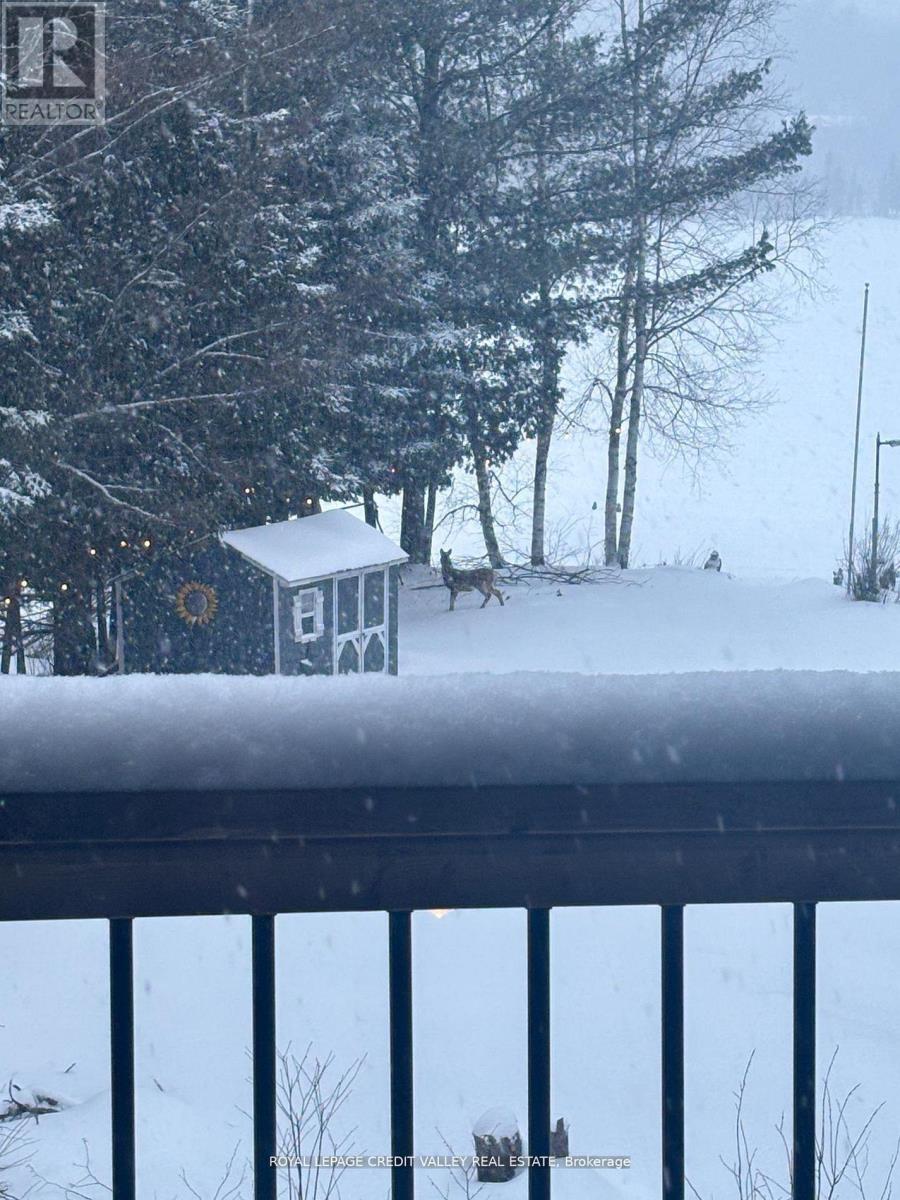 992 South Baptiste Lake Road, Hastings Highlands (Herschel Ward), Ontario  K0L 1C0 - Photo 35 - X13169778
