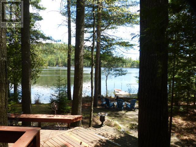 1008 Constance Road, Dysart Et Al (Harcourt), Ontario  K0L 2A0 - Photo 5 - X13170110