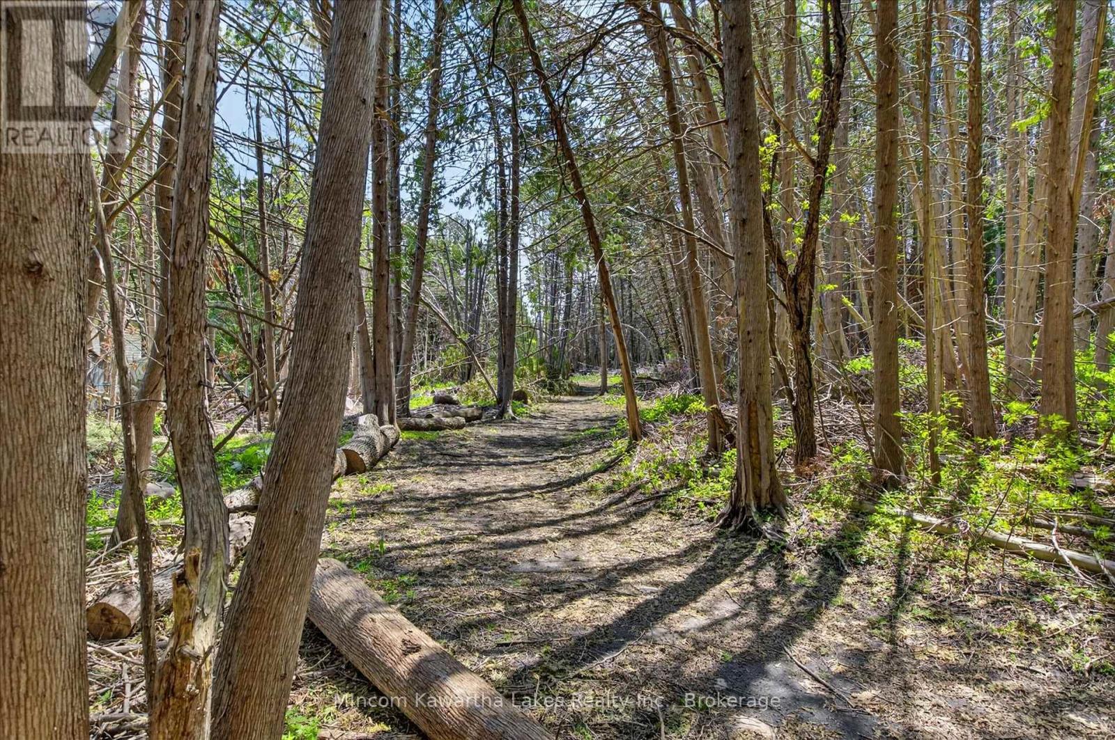 1071 Danita Boulevard, Peterborough (Monaghan Ward 2), Ontario  K9J 7K7 - Photo 50 - X13171494