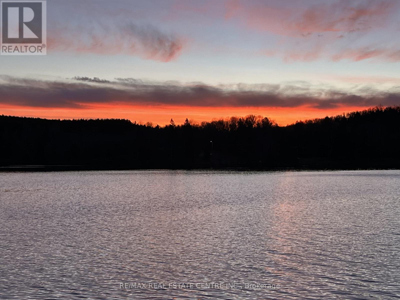 99 Brethour Road, Hastings Highlands (Herschel Ward), Ontario  K0L 1C0 - Photo 50 - X13173592