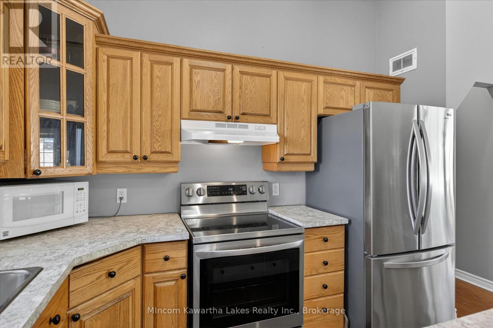 46 Lawrence Street N, Kawartha Lakes (Emily), Ontario  K9J 6X3 - Photo 17 - X13174362