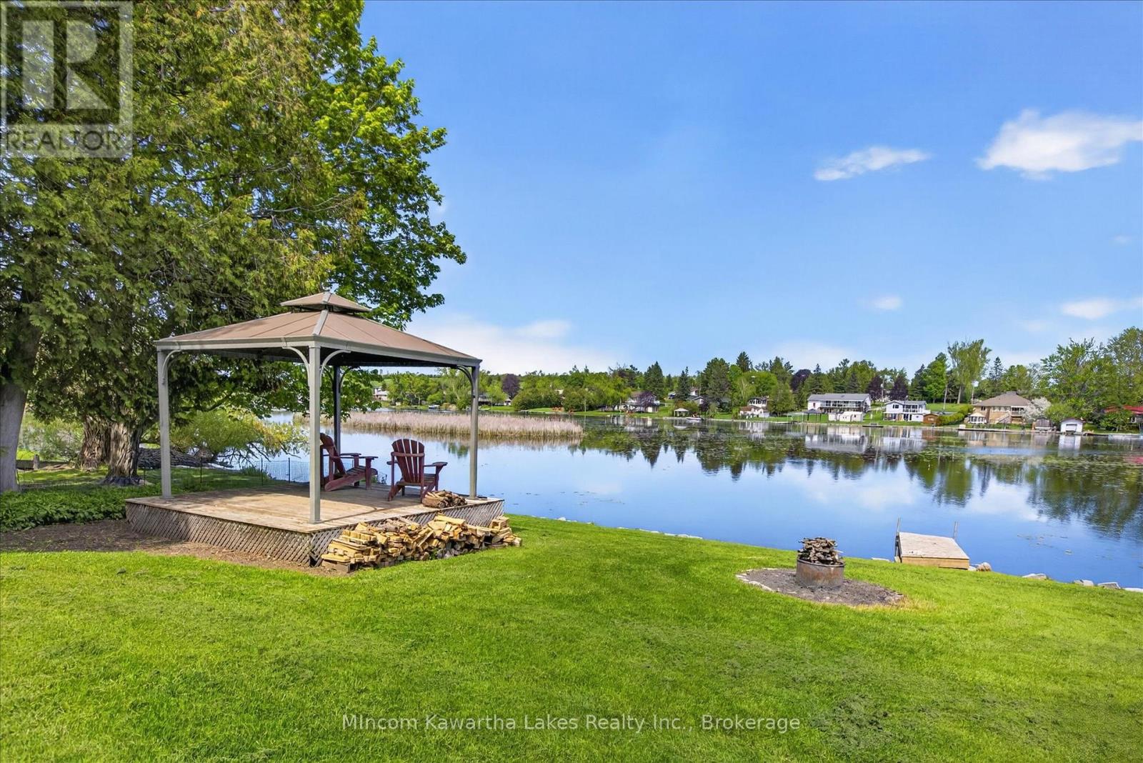 46 Lawrence Street N, Kawartha Lakes (Emily), Ontario  K9J 6X3 - Photo 42 - X13174362